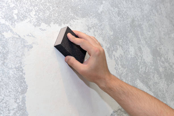 Best Post-Construction Mold Inspection  in Central City, IA