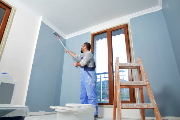 Best Mold Documentation for Insurance Claims  in Central City, IA