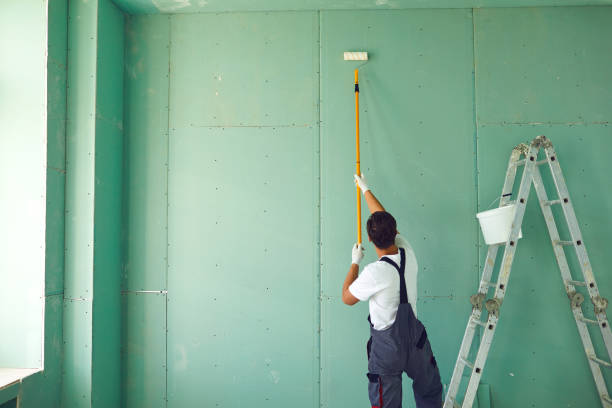 Best Mold Odor Removal Services  in Central City, IA
