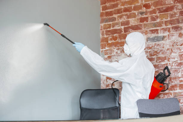 Best Biohazard Mold Removal  in Central City, IA