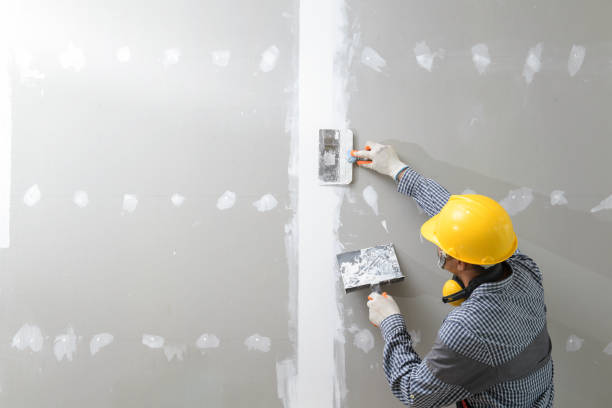 Best Water Damage & Mold Remediation  in Central City, IA