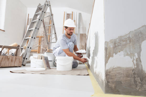 Best Mold Damage Restoration  in Central City, IA