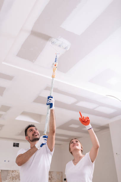 Reliable Central City, IA Mold Removal Solutions