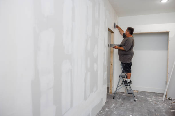 Best Dehumidification Services  in Central City, IA