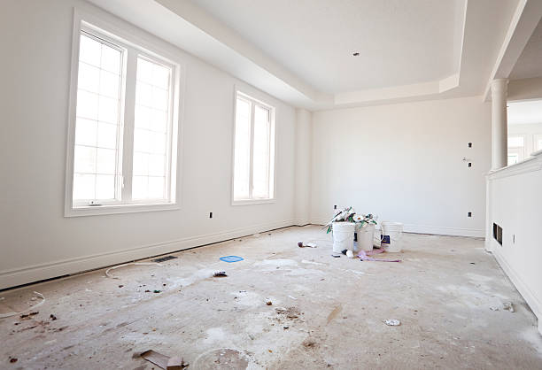  Central City, IA Mold Removal Pros